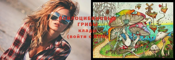 не бодяженный Арсеньев